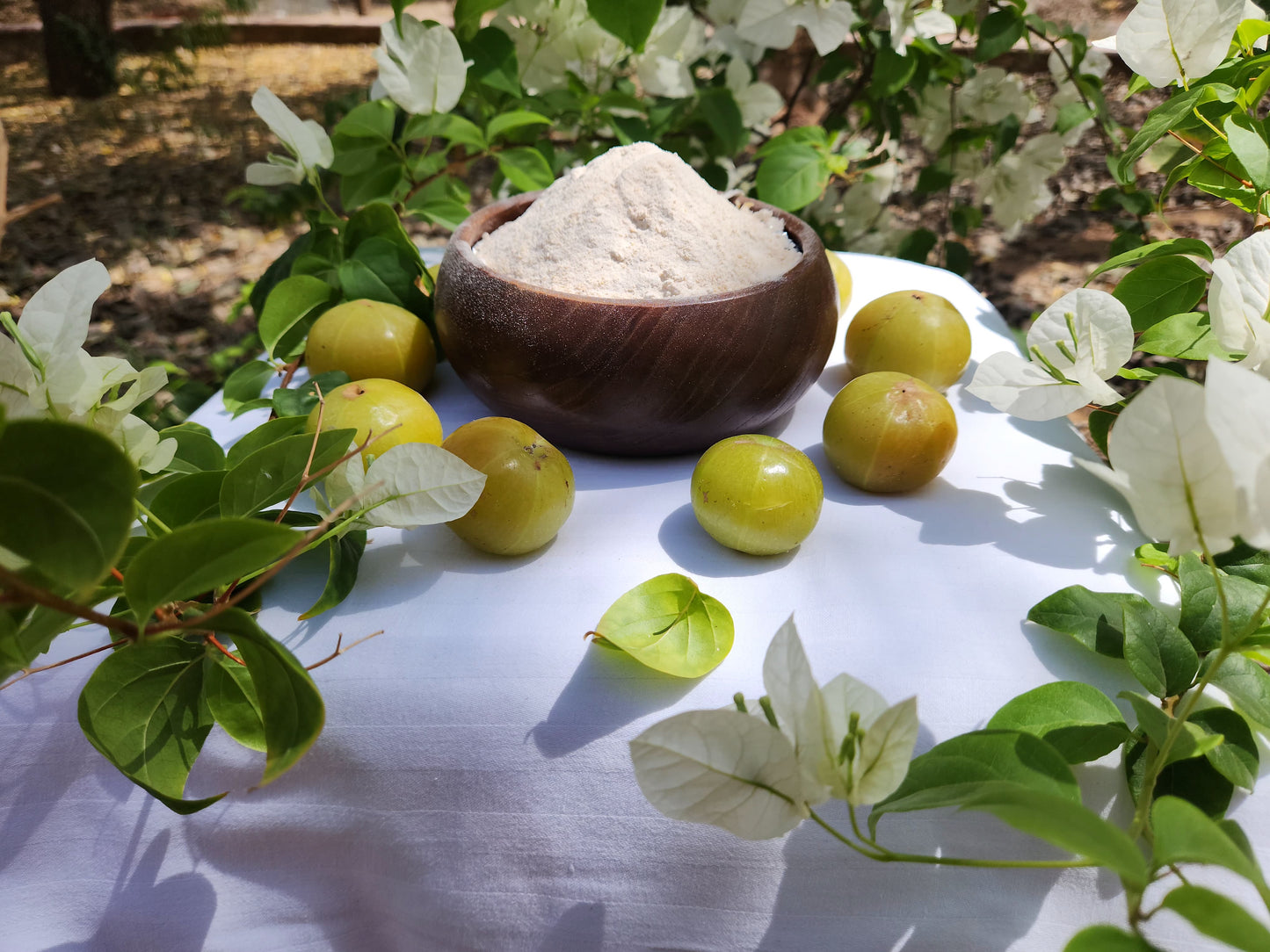 Haveli Anirudh Organic Gooseberry (Amla) Powder