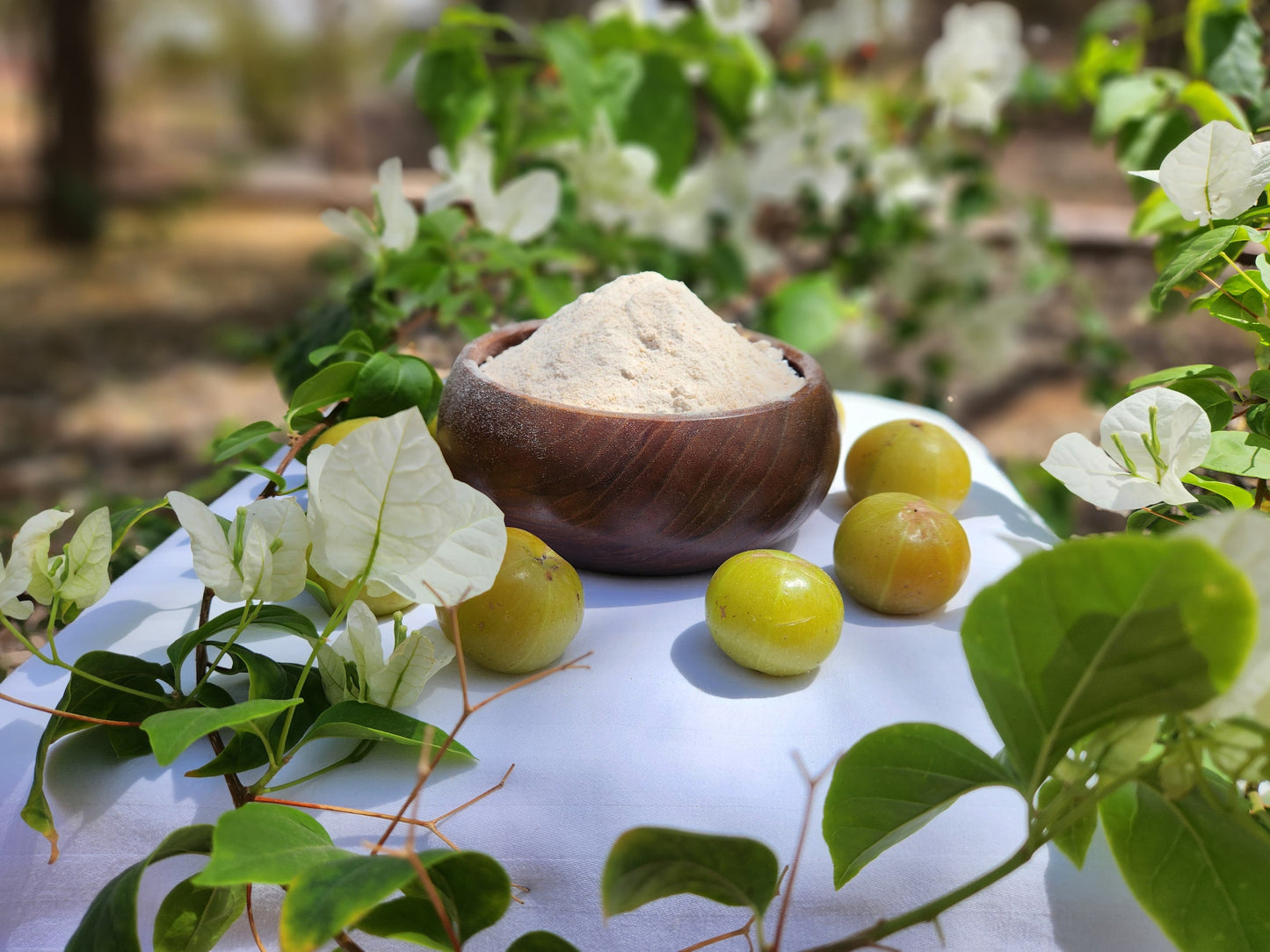 Haveli Anirudh Organic Gooseberry (Amla) Powder