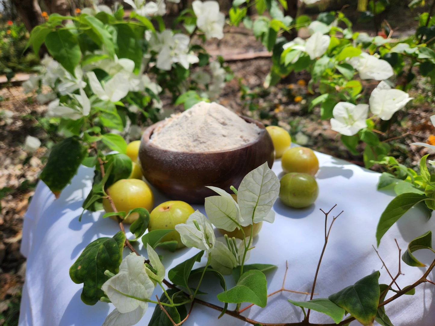 Haveli Anirudh Organic Gooseberry (Amla) Powder