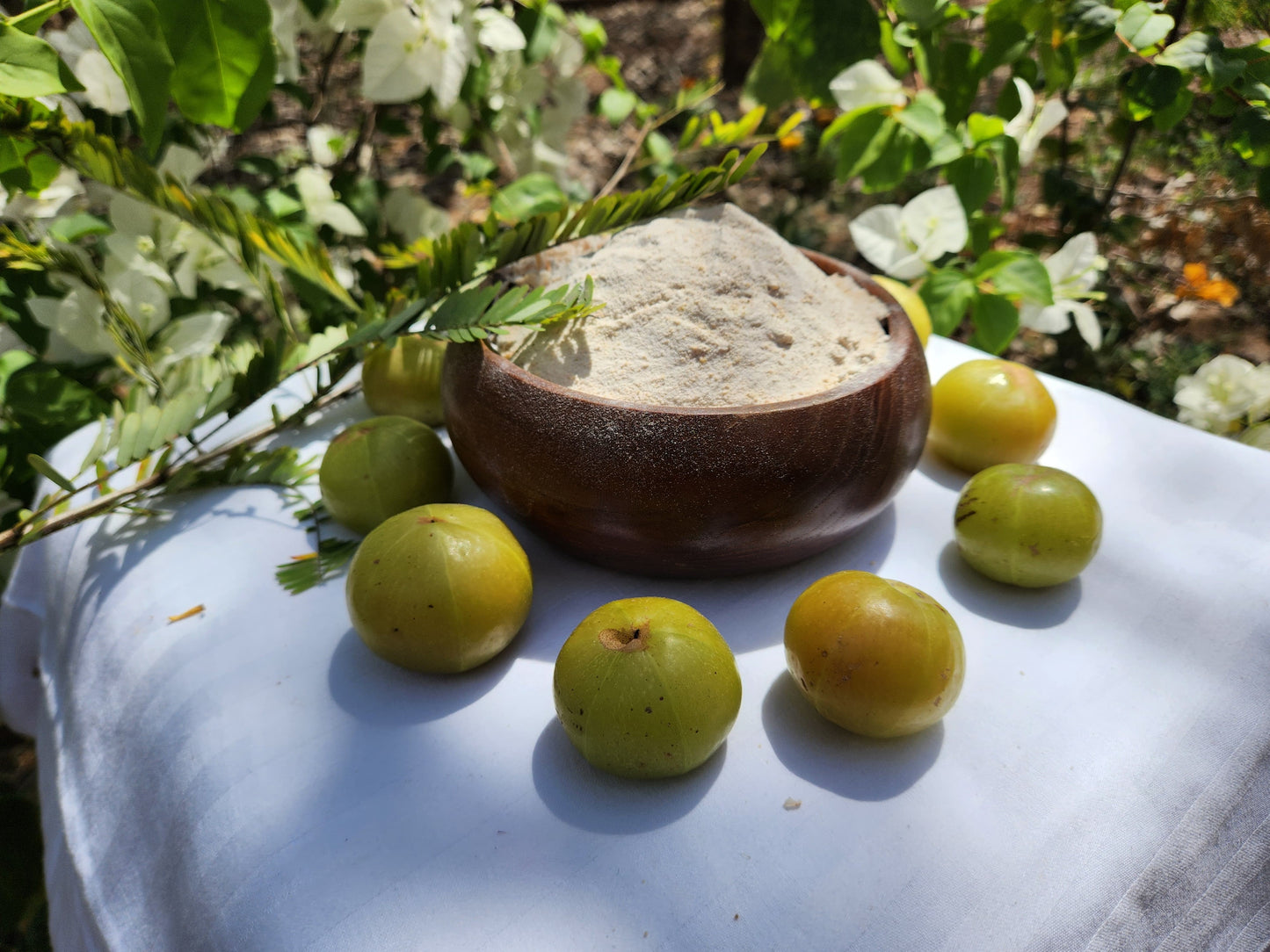 Haveli Anirudh Organic Gooseberry (Amla) Powder