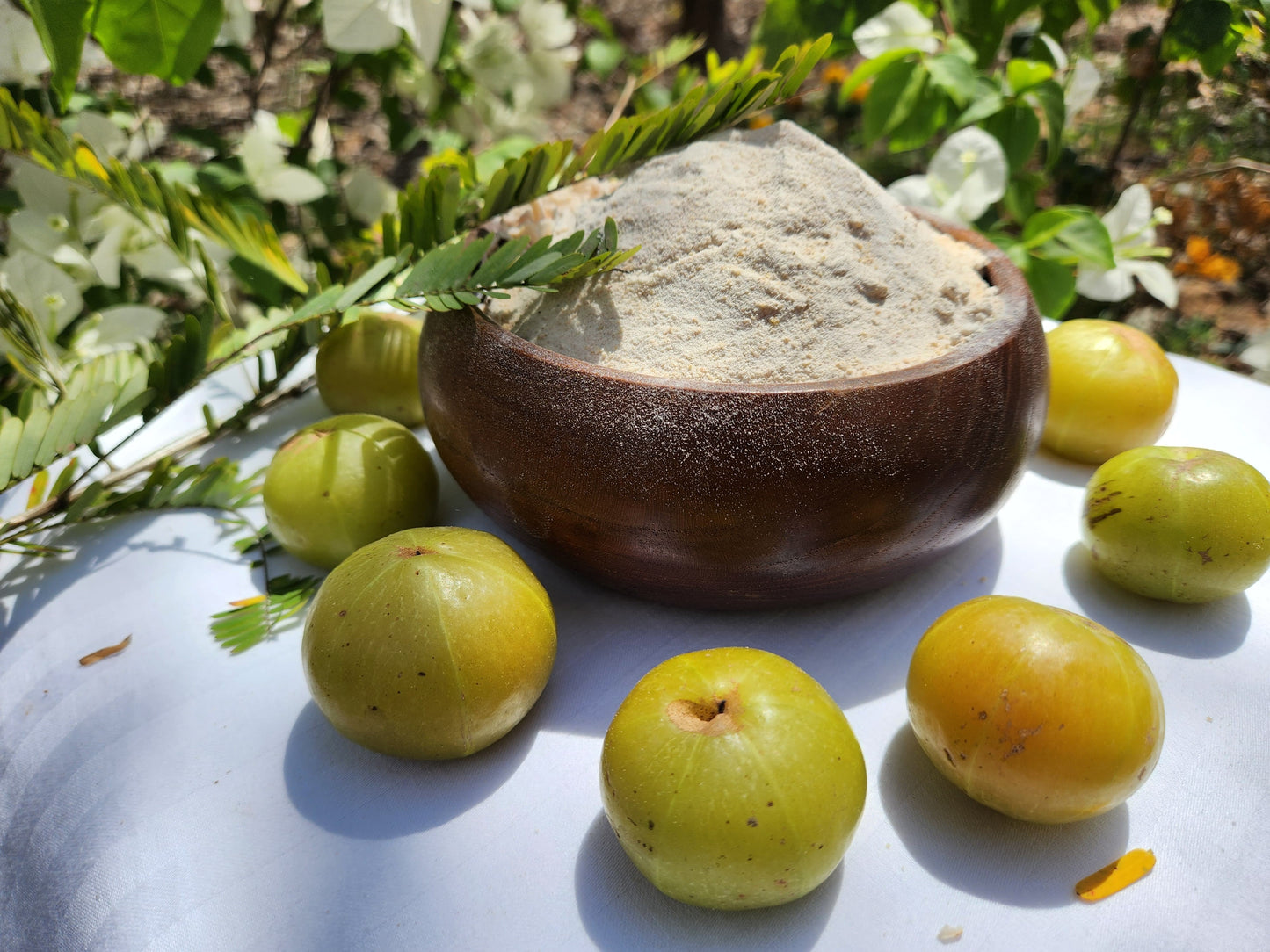 Haveli Anirudh Organic Gooseberry (Amla) Powder